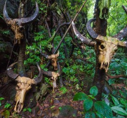 贵阳保镖服务网 贵阳保镖公司收费标准？