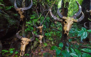 贵阳保镖服务网 贵阳保镖公司收费标准？