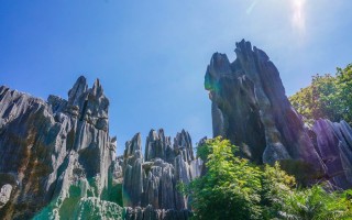 高端私人保镖怎么称呼 私人保镖要具备什么条件?？