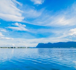 昭通保安服务有限公司 昭阳区保安公司电话？