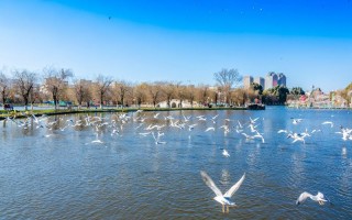 保镖机构 保镖公司百科？