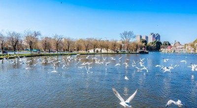 保镖机构 保镖公司百科？