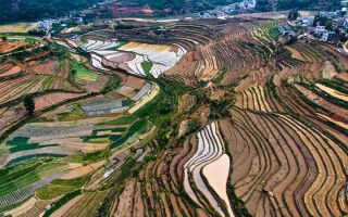 鹰潭安保咨询顾问服务公司 鹰潭安防公司电话？