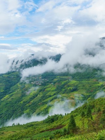 随身护卫方案 随身护卫的内容有哪些?如何实施？