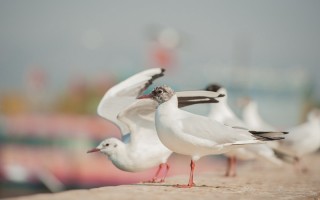 山东保安服务有限公司 山东保安服务有限公司招聘？