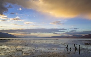 山西随身护卫保安服务公司 山西随身护卫保安服务公司电话？