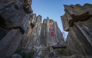 临时保镖服务 临 时 保 镖？