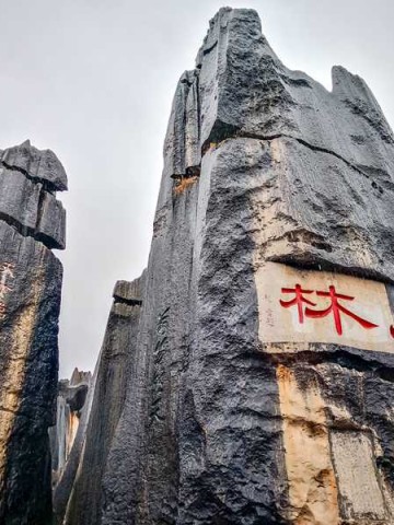 厦门保安服务有限公司 厦门市保安有限公司电话号码？